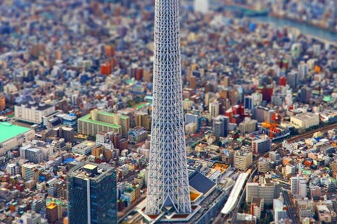 tokyo-private-trip-with-english-speaking-driver