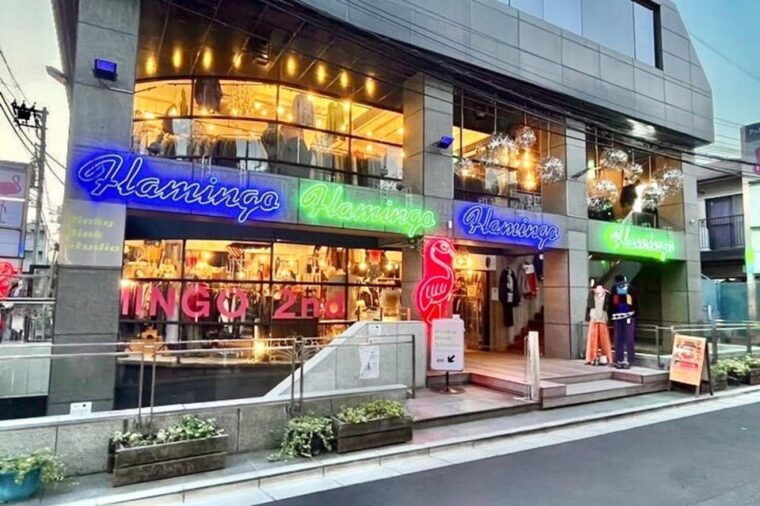 tokyo-private-vintage-shopping-tour-in-near-shibuya