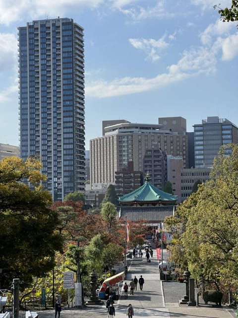 tokyo-private-visit-guide-speaking-french