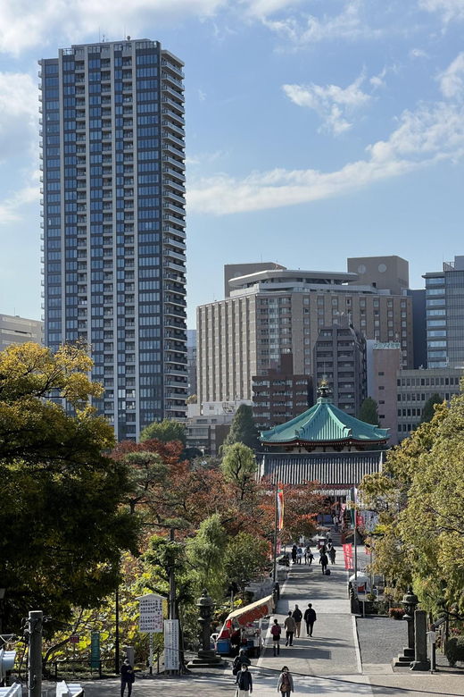 tokyo-private-visit-guide-speaking-french