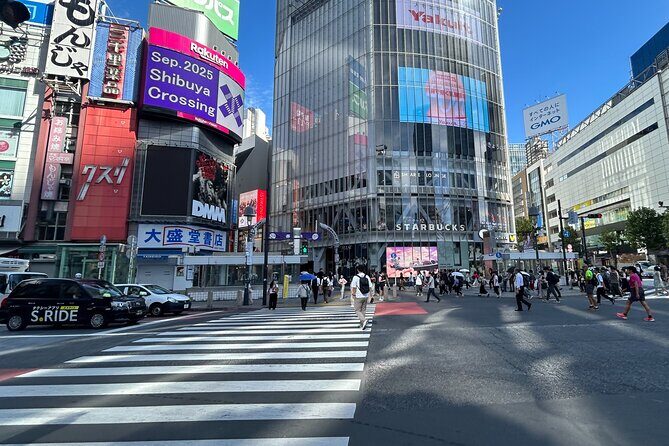 Tokyo Private Walking Tour Shibuya, Harajuku and Meiji Jingu - Key Points