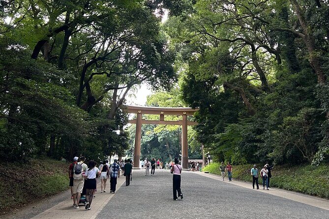 Tokyo Private Walking Tour Shibuya, Harajuku and Meiji Jingu - Breaking Down the Itinerary