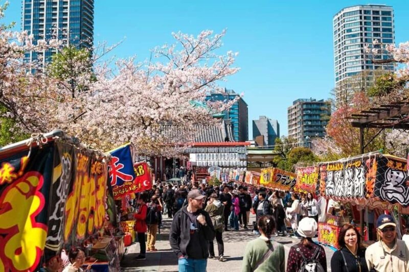 Tokyo: Private Walking Tour with a Local Guide - Final Thoughts: Is This Tour Right for You?