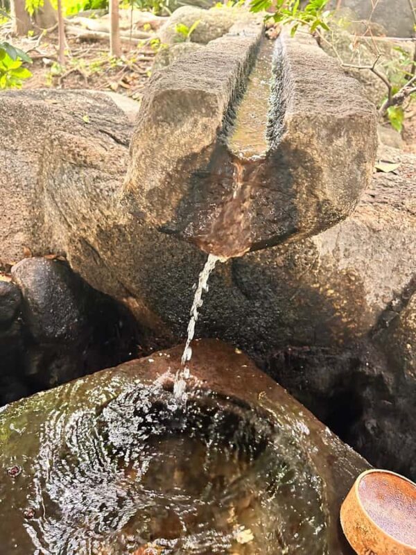 TOKYO: Professional Gardener Guides Gardens by E-bike -LIGHT - FAQ