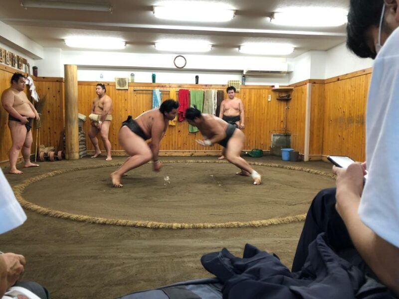 tokyo-real-sumo-morning-practice-tour-at-yokozuna-stable