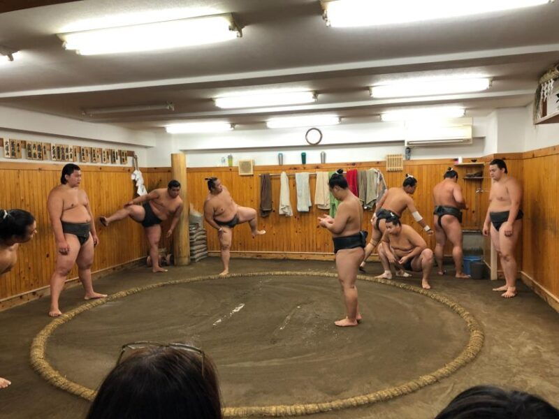 tokyo-real-sumo-morning-practice-tour-at-yokozuna-stable