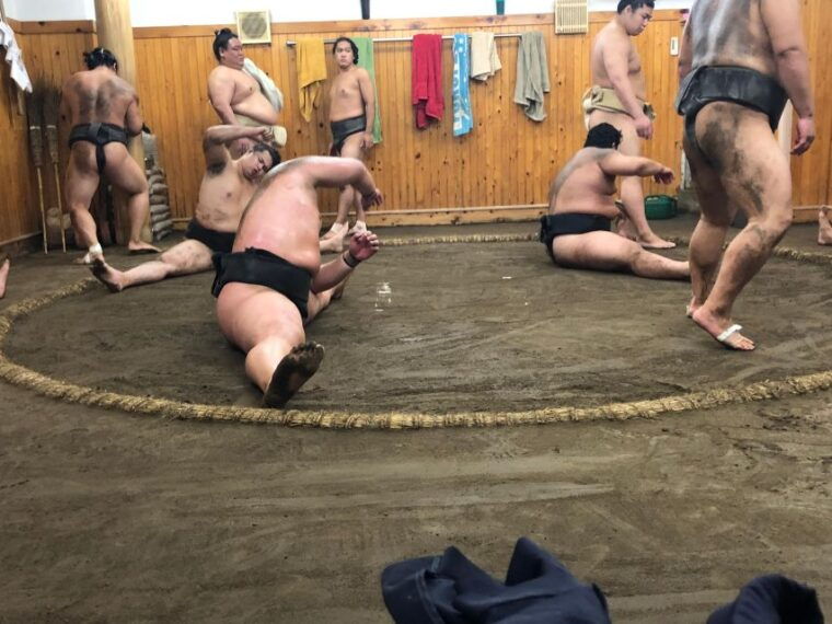 tokyo-real-sumo-morning-practice-tour-at-yokozuna-stable