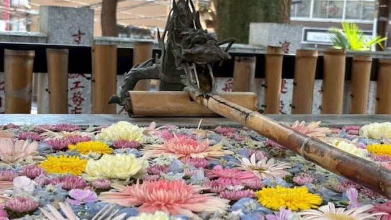 Tokyo Retro Vibes and Izakaya Tour in KOENJI - Visiting the Kisho Shrine: Quirky and Anime-Filled