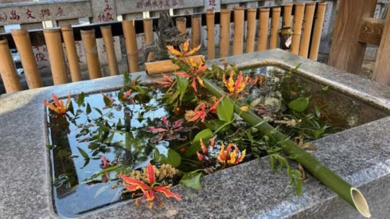 Tokyo Retro Vibes and Izakaya Tour in KOENJI - Evening in a Traditional Izakaya