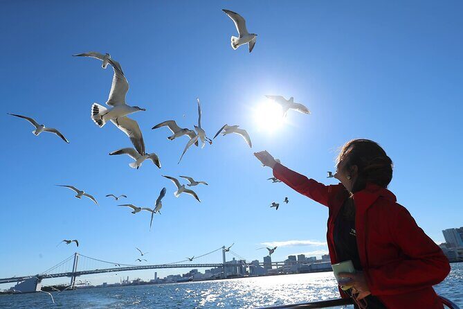 Tokyo: Seagull Feeding or Sunset Bay Cruise with Local Guide - An In-Depth Look at the Experience