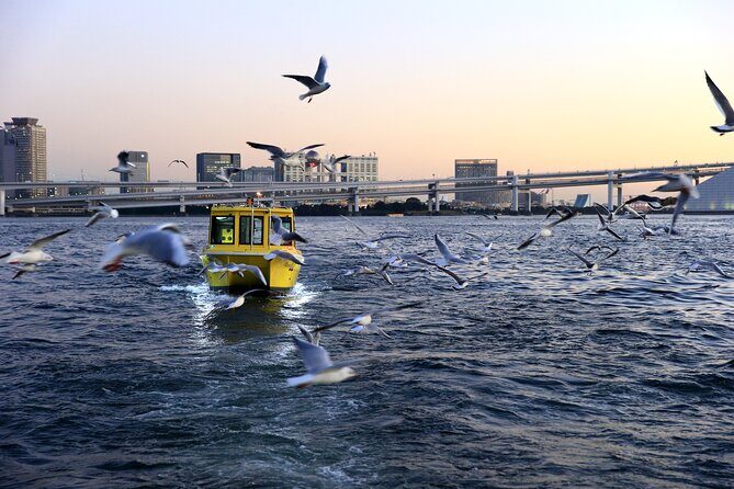 Tokyo: Seagull Feeding or Sunset Bay Cruise with Local Guide - FAQs