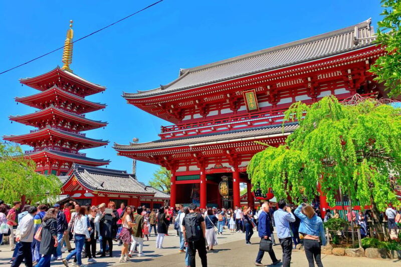 tokyo-sensoji-temple-street-food-private-tour-with-guide