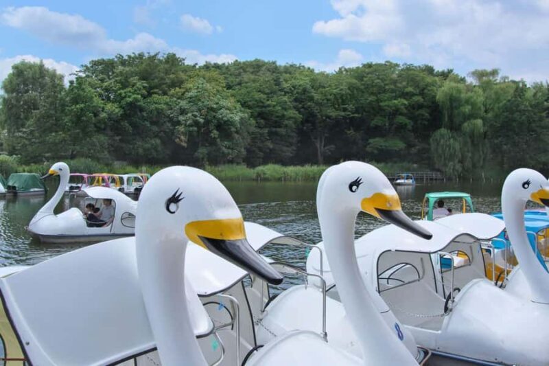 Tokyo: Shakujii Park Tour with Lacal Udon - Considerations for Travelers