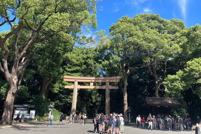 tokyo-shibuya-and-highlights-private-running-tour