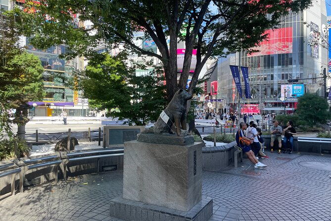 tokyo-shibuya-and-highlights-private-running-tour