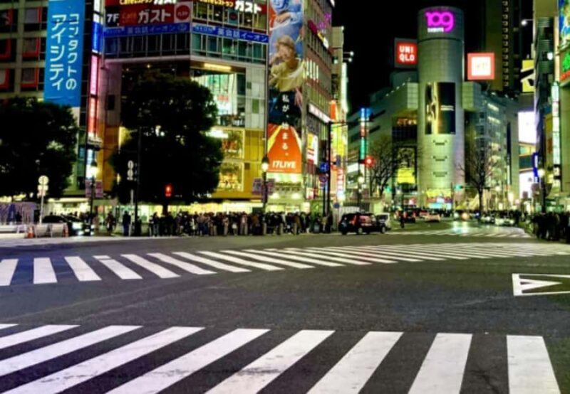 Tokyo: Shibuya and Shinjuku Night Private Walking Tour - Who Should Consider This Tour?