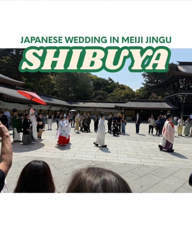 Tokyo: Shibuya, Cat Street, Harajuku & Meiji Walking Tour - Scenic Pass by: Shibuya Nonbei Yokocho