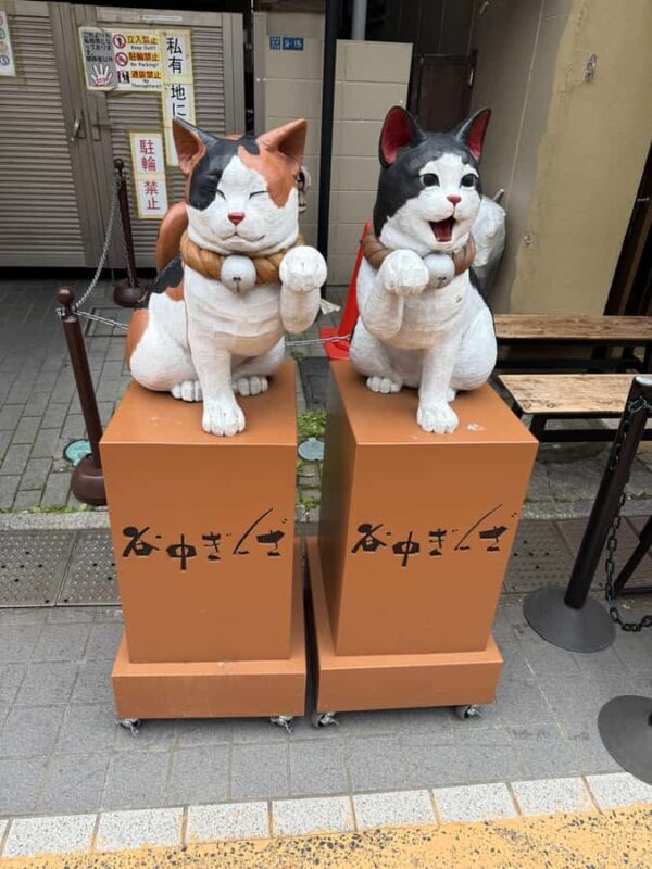 Tokyo: Shibuya, Cat Street, Harajuku & Meiji Walking Tour - Tour logistics and value