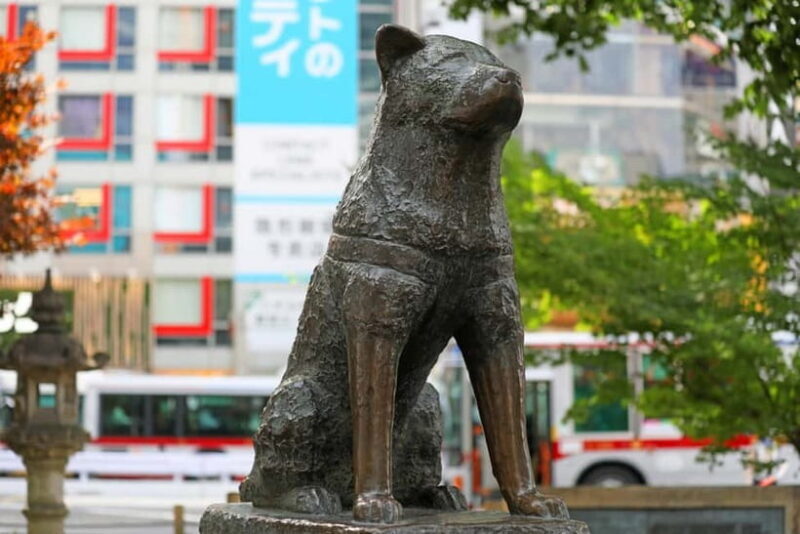 Tokyo: Shibuya Crossing & Hidden Streets Walking Tour - Who Should Consider This Tour?