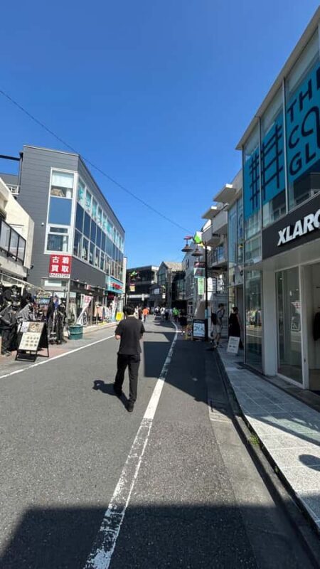 Tokyo: Shibuya, Harajuku & Meiji Shrine Walking Tour - Who Will Enjoy This Tour?