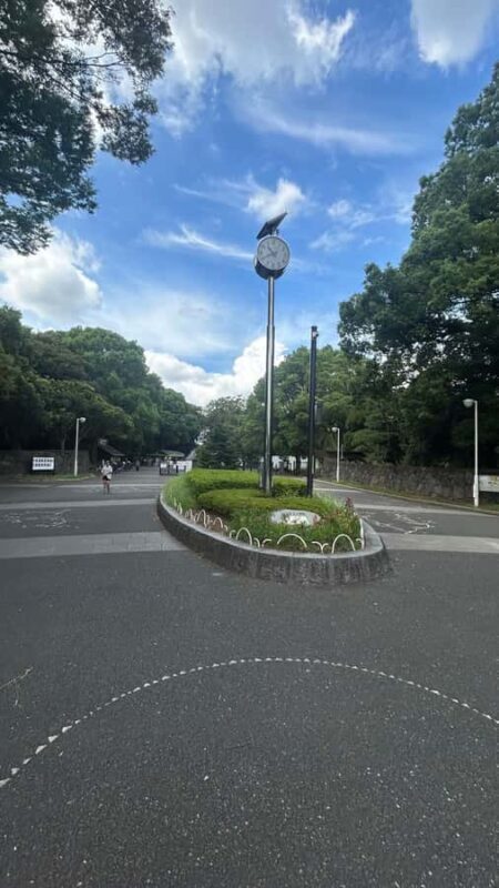 Tokyo: Shibuya, Harajuku & Meiji Shrine Walking Tour - FAQ