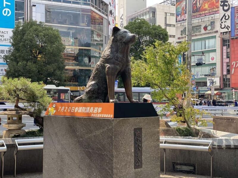 Tokyo: Shibuya Tour with a Local Guide in Spanish and Hidden Gems - Exploring Tokyo’s Shibuya: A Local’s Perspective on a Unique Tour Experience