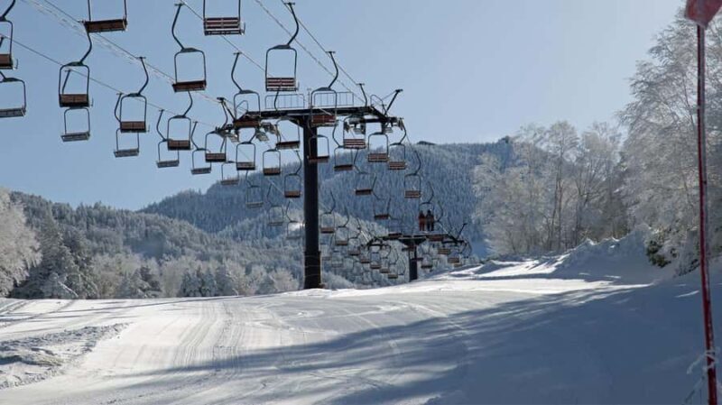 Tokyo: Shiga Kogen Ski Resort day Tour With English driver - Key Points