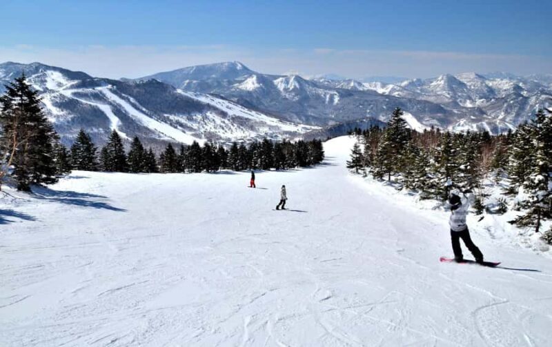 Tokyo: Shiga Kogen Ski Resort day Tour With English driver - Who Will Love This Tour?