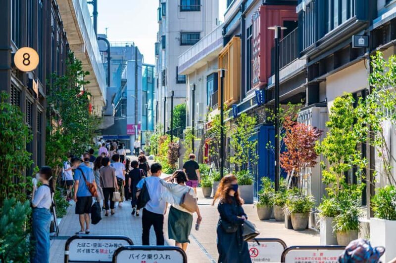 Tokyo: Shimokitazawa Indie Culture Guided Walking Tour - Who Should Consider This Tour?