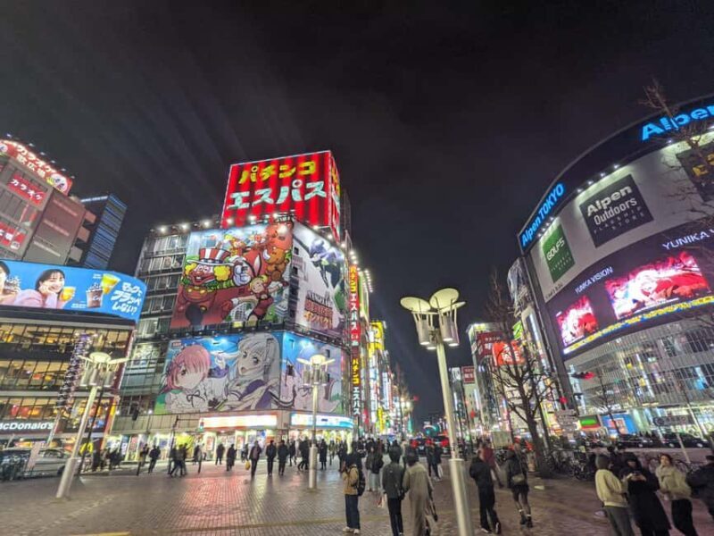 Tokyo Shinjuku Customized Tour: See and Walk Around Shinjuku - A Walk Through Shinjuku Like Never Before