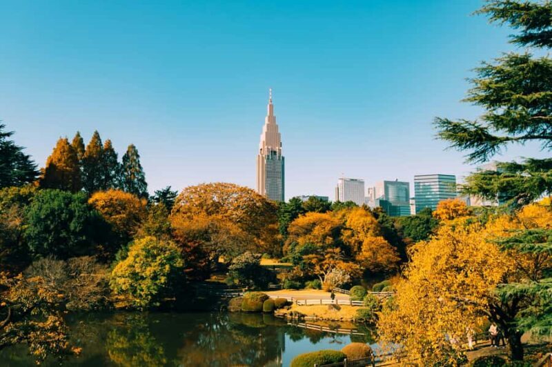 Tokyo: Shinjuku Gyoen Autumn Leaves Stroll (Entry Included) - Key Points