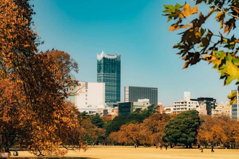 Tokyo: Shinjuku Gyoen Autumn Leaves Stroll (Entry Included) - What to Expect During the Tour