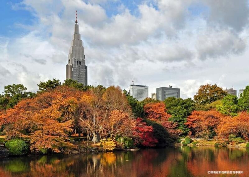 Tokyo: Shinjuku Gyoen Autumn Leaves Stroll (Entry Included) - Comparing This Experience to Similar Tours