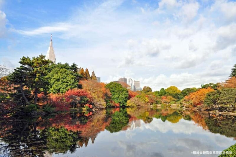 Tokyo: Shinjuku Gyoen Autumn Leaves Stroll (Entry Included) - FAQ