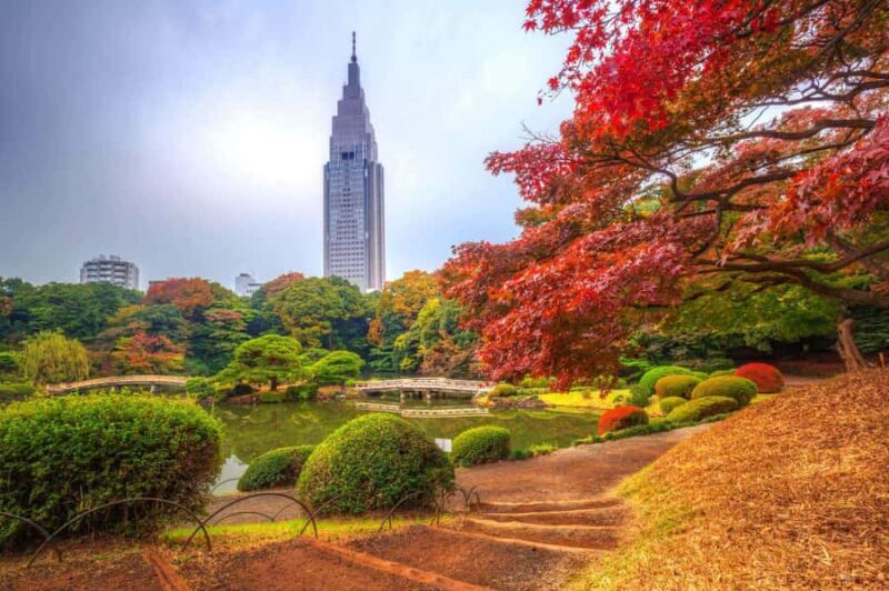 Tokyo: Shinjuku Gyoen, Meiji Shrine, and Shibuya Tour - An Overview of the Tour Experience
