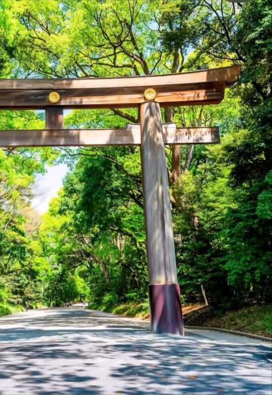 Tokyo: Shinjuku Gyoen, Meiji Shrine, and Shibuya Tour - Practical Details and What to Expect