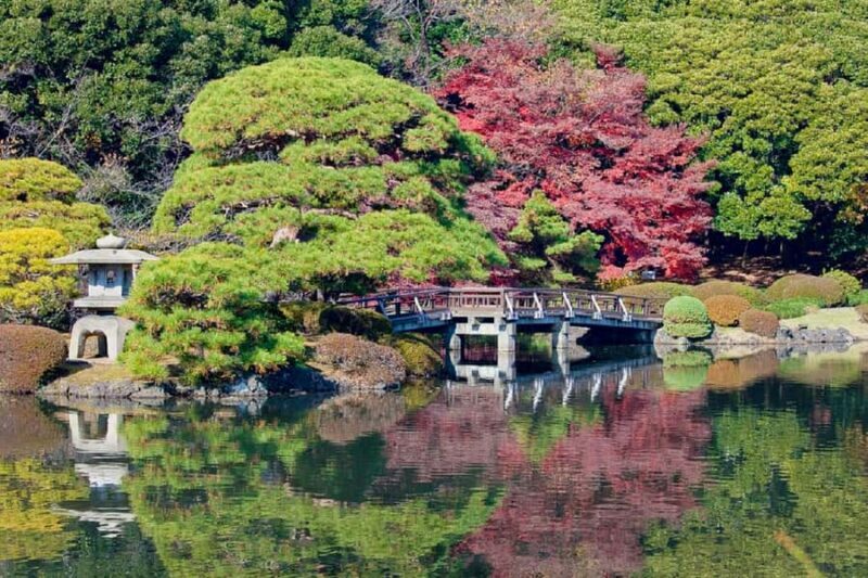 Tokyo: Shinjuku Gyoen National Garden Guided Walking Tour - Key Points