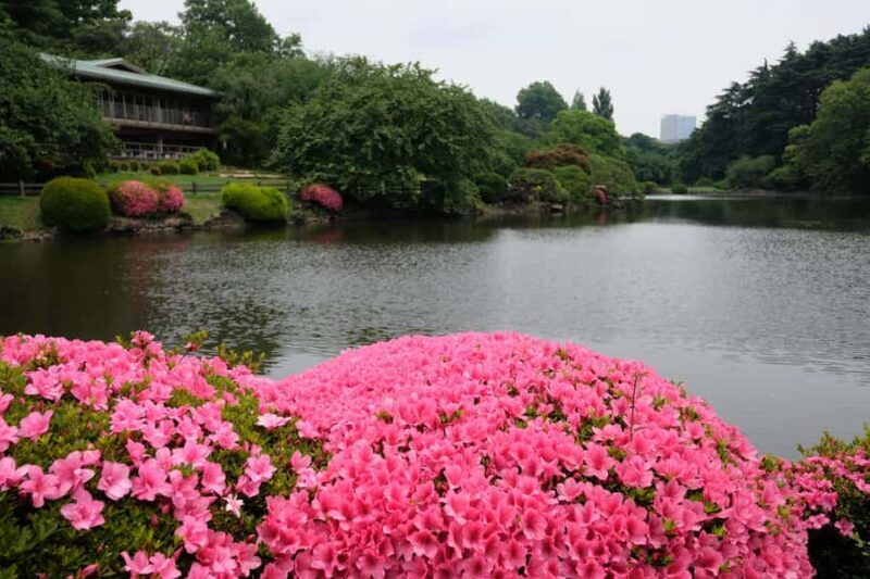 Tokyo: Shinjuku Gyoen National Garden Guided Walking Tour - Final Thoughts