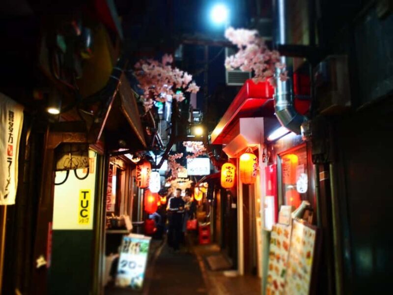 Tokyo: Shinjuku Izakaya Night Hopping Tour - Who Would Love This Tour?