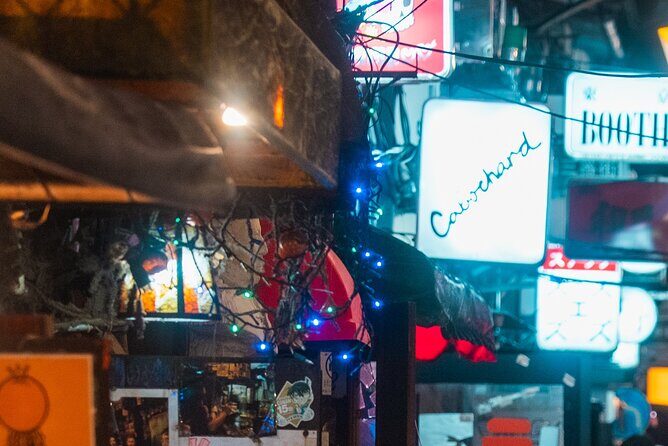 Tokyo Shinjuku Night Walking Tour Golden Gai And Local Culture - Who Will Love This Tour?