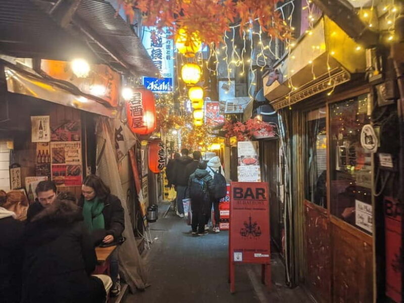 Tokyo Shinjuku : Private Walking Night Tour with Pachinko - What to Expect in Terms Practicalities