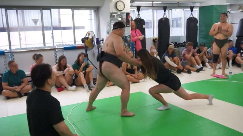 Tokyo Shinjuku: Sanctuary Grand Sumo Experience For Group - What Is the Sanctuary Grand Sumo Experience?