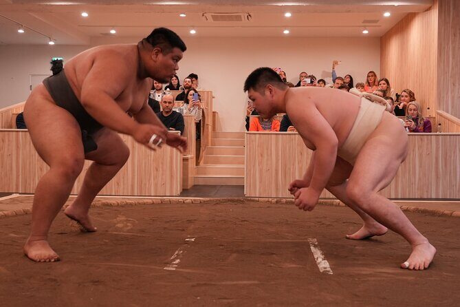 Tokyo Shinjuku Sumo Show and Experience with Drinks and Photo - The Sumo Challenge: Fun, Fight, and Photos