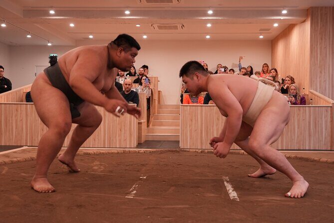 Tokyo Shinjuku Sumo Show Experience with Photo and Drinks - Who Would Love This Experience?