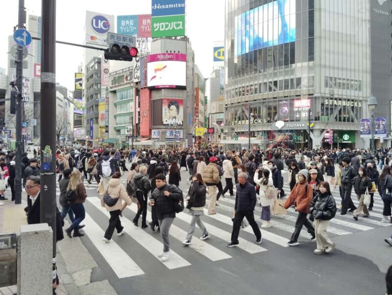 Tokyo: Shinjyuku & Shibuya 2-Hour City Tour - An Honest Look at the 2-Hour Tokyo City Tour