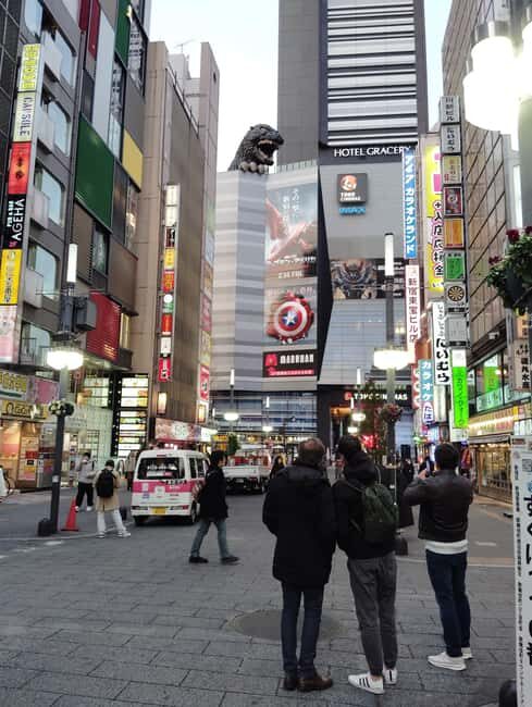 Tokyo: Shinjyuku & Shibuya 2-Hour City Tour - Who Will Enjoy This Tour?