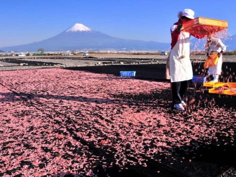 Tokyo: Shizuoka Day Trip with Kimono Photoshoot & Ukiyo-e - Discover the Charm of Shizuoka on a Day Trip from Tokyo