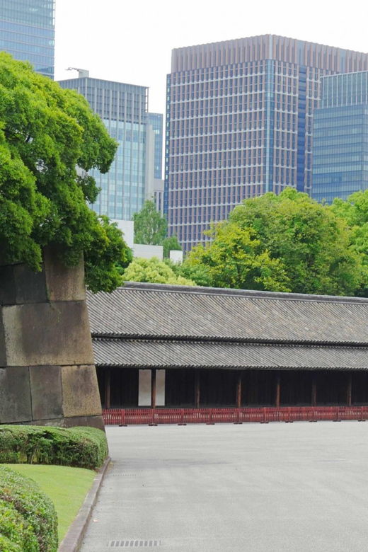 tokyo-shogun-tour-of-the-imperial-palace-east-gardens
