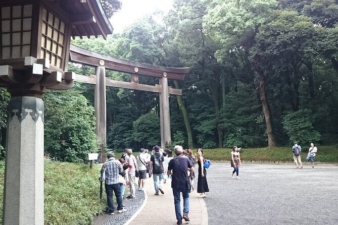 Tokyo Shrine Cultural Walks - Final Thoughts: Is It Worth It?