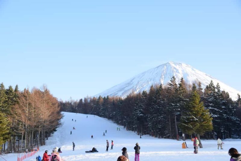 Tokyo: Ski or Snowboard Day Trip - Key Points